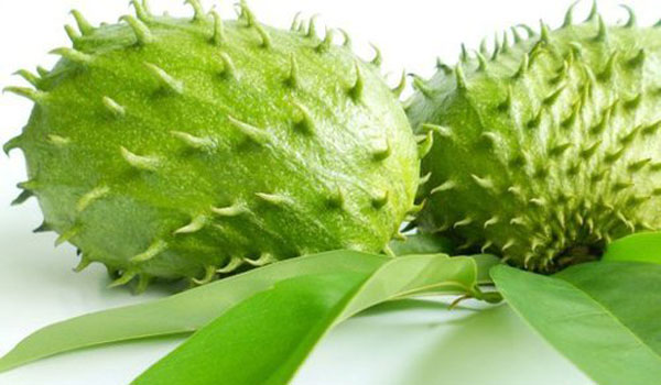 Mãng cầu trái