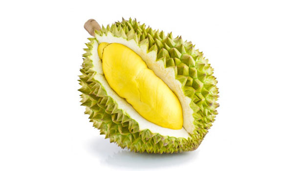 Sầu riêng trái